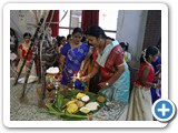 pongal-05-18